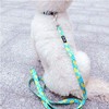 Azuza Dog Collar And Leash Set, Collar, Small Dogs, Medium-sized