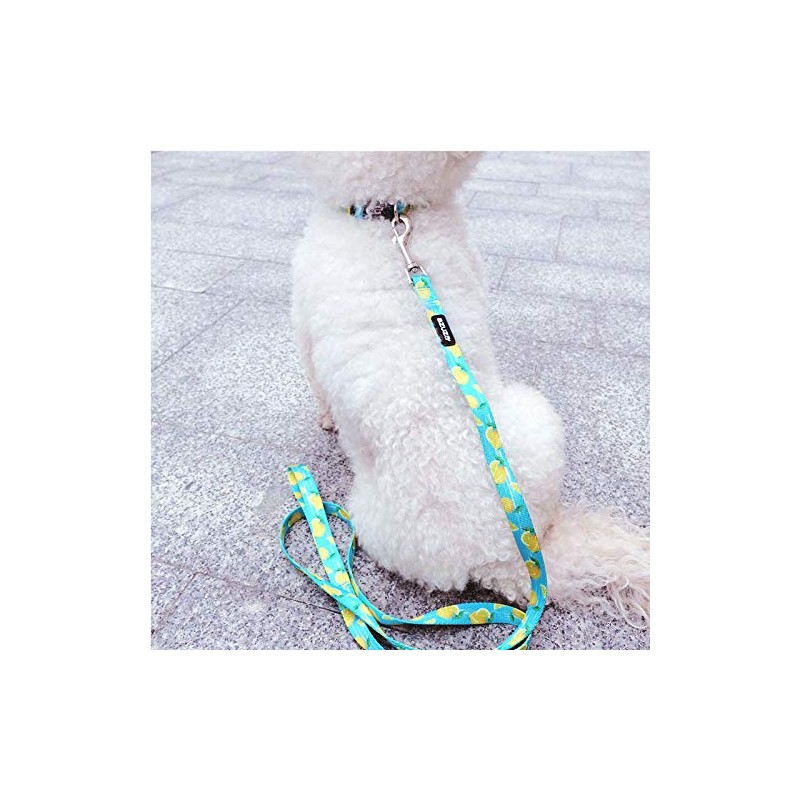 Azuza Dog Collar And Leash Set, Collar, Small Dogs, Medium-sized