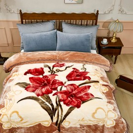 9 lbs Heavy Korean Mink Blanket,Silky Soft and Warm - Korean Style Queen Size 77" x 90", 9LB - 2 Ply Reversible Soft Warm Plush Raschel Blanket.