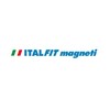 ITALFITMAGNETI Pack of 20 Writeable Magnetic Labels with Paper Insert