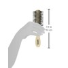 Scalpmaster Scalpmaster Nylon Bristle Salon Contour Brush (S-300-IV)