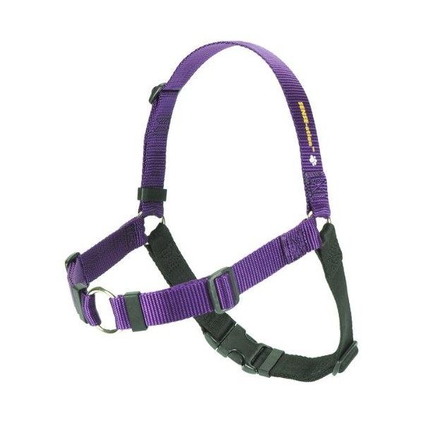The Original Sense-ation No-Pull Dog Training Harness (Purple, Large Wide)