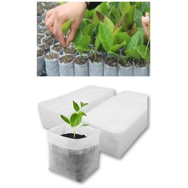 Leap Raupe Seedling Pot, Non-woven Pot, Non-woven Planter, Pot, No. 4, Thick Ver., 50 Sheets