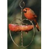Holland Hill Johnny Apple Feeder - Copper Wire Heart Shaped