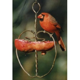 Holland Hill Johnny Apple Feeder - Copper Wire Heart Shaped Fruit Bird Feeder