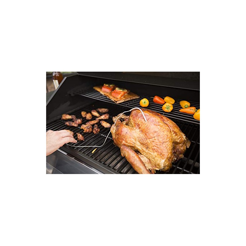 Pit Boss Meat Probes – 2pk