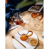 IwaiLoft IL-GS03 Handmade Heat Resistant Glass Tea Pot with Tea