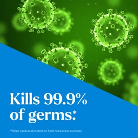 Clorox CloroxPro EcoClean Disinfecting Cleaner Spray Bottle, 32 Fluid Ounces