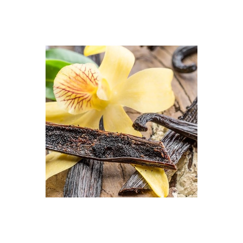 Tuscany Candle Lemon Sugar Cookie Long-Lasting Scented Jar Candle, 18