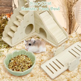 BNOSDM 2 Pcs Hamster Ceramic Food Bowl Flower Series Gerbil Drinking Bowls Anti-Turning Food & Water Dish for Dwarf Syrian Hamsters Gerbil Chinchilla（Green, Narcissus Pattern）