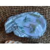 Unbranded Decorative Oyster Shell for Jewelry Rings Trinket Dish green tree