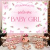 Welcome Baby Girl Backdrop - Pink Bow Baby Shower Party