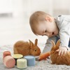 JINTANG 8 Pieces Stacking Cups for Rabbits, Bunny Nesting Toy,