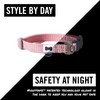 BUILT Pet Nightsafe Dog Collar