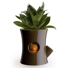 QUALY Log & Squirrel Plant Pot, Plastic, Brown, 15 x 12.5 cm