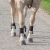 TopHomer Pack of 2 Horse Riding Boots Adjustable Front Leg
