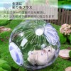 Asdays Hamster Toy, Hamster Ball, Play Tool, Walking, Runner, Playground