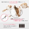 Necoichi Catch Me If You Can 2 Electric Toy for
