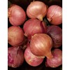Fresh Shallots 2 Lbs. Produce of USA