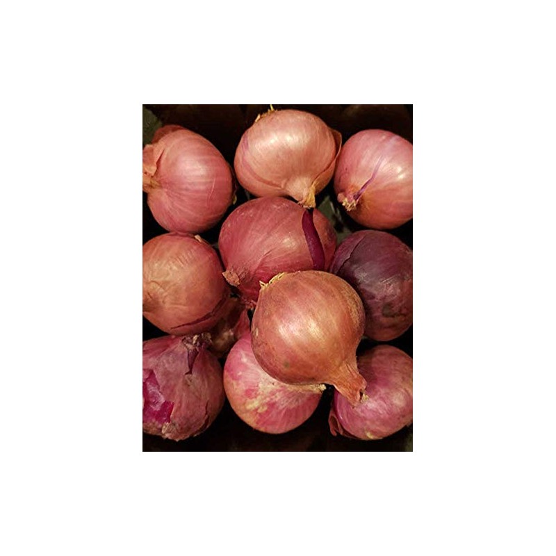 Fresh Shallots 2 Lbs. Produce of USA
