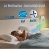 Smart Air Ionizer 4-Pack for Home with Night Light |
