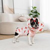 BurgeonNest Recovery Suit for Dogs + Cone Collar After Surgery,