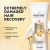 Pantene Pro-V Miracles Extreme Damage Care Regenerative Oil Blend 1