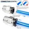 TAILONZ PNEUMATIC Male Straight 1/2 Inch Tube OD x 3/8