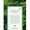 Organic Spruce Needles 250 g | Spruce Needle Tea, Dried