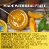 Saucy Susan Peach Apricot ORIGINAL Sauce 9.5 oz Jar –