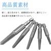 Wolfride Screw Removal Bit, Screw Extractor Set, Set of 10,