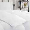 Mercantile Soft and Natural Breathable Down Feather Fill Bedding Comforter