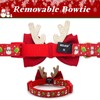azuza Dog Collar with Adjustable Bow tie for Small Medium