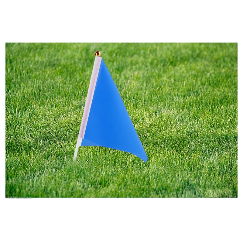 SCSpecial Small Flags 25 Pieces Mini Handheld Flags on Stick