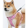 Petank Dog Harness Medium Sized Dog, Puppy Harness Medium Size