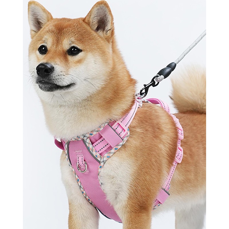 Petank Dog Harness Medium Sized Dog, Puppy Harness Medium Size