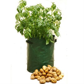 One Single Patio Potato Grow Bag - Growing Bags for Potatoes - Durable Quality Growing Bag