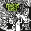 Blunted at Birth (Digipak)