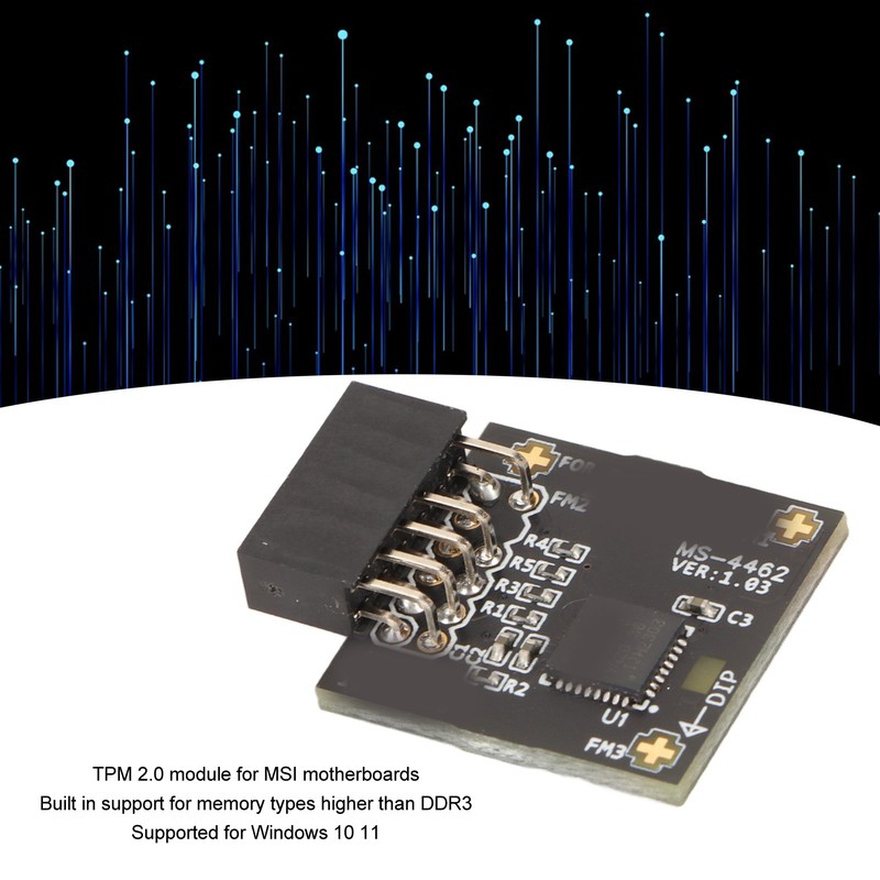 TPM2.0 Module TPM SPI 12Pin Module with SLB 9670 Standalone