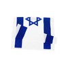 Israel - 150cm x 90cm Festival Event Flag