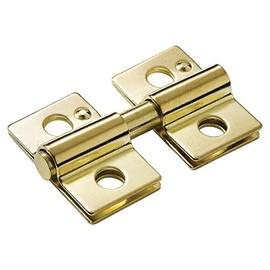Rear Mounted Swivel Mirror Hinge