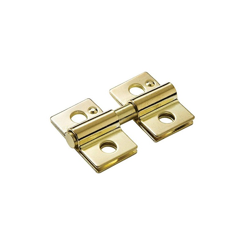 Rear Mounted Swivel Mirror Hinge