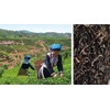 Daeen Health Pu'er Tea Produced in Yunnan Province, China, 12.5