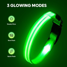 HIGO Light Up Dog Collar - High Visibility LED Dog Collar, Rechargeable Lighted Dog Collar, Glowing Dog Lights for Night Walking (Medium, Green)