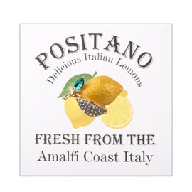 HOLLP Lemon Lover Gift Positano Italy Gifts Positano Delicious Italian Lemons Fresh from the Amalfi Coast Italy Earring Brooch Jewelry (Brooch)