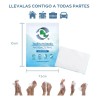 Toallitas Húmedas Antibacteriales Caja con 100 piezas