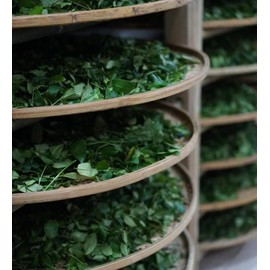 Oolong Tea Fujian Wuyi Oolong Tea (Da hong pao)30 Count (Pack of 1)250g Wuyi rock tea