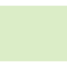 Green Card A4 160gsm 50 Sheets Coloured Card / Craft Card #2635