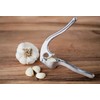 Fox Run Garlic Press, 6 x 1.25 x 1.75 inches,