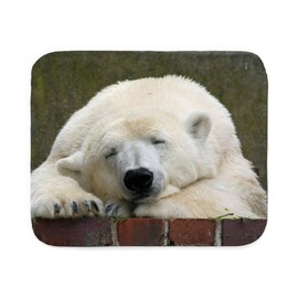 CafePress Polar Bear 003 Sherpa Fleece Throw Blanket 60" L x 50" W